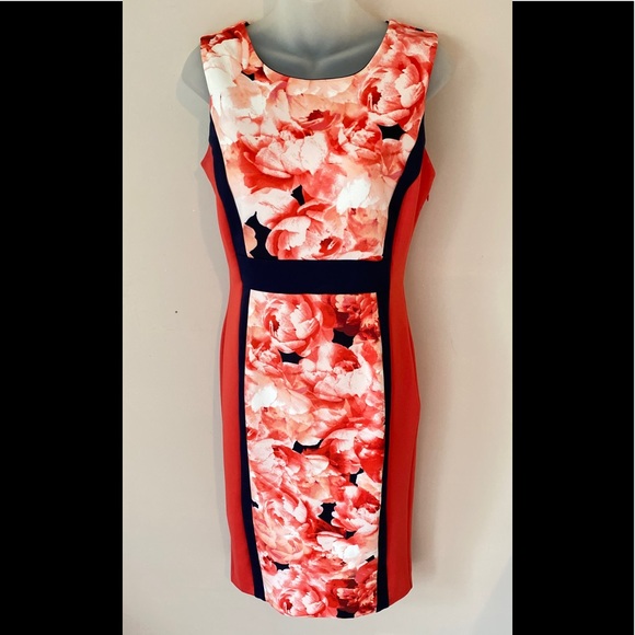 Rose Print with Navy Trim neoprene dress - Picture 1 of 5